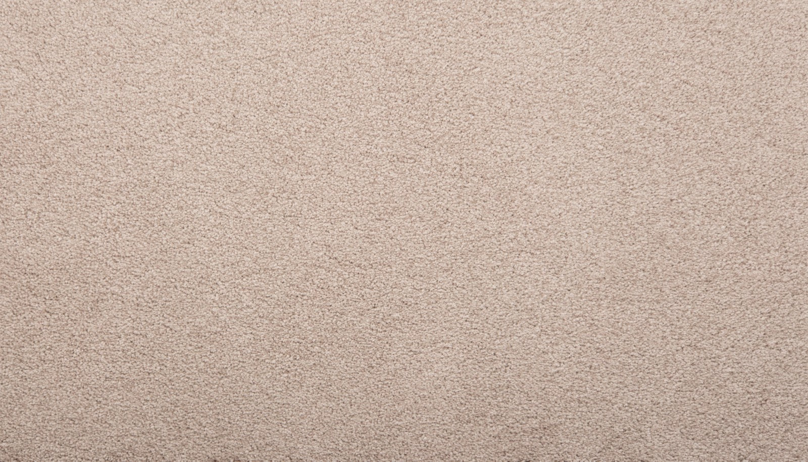 Mohawk Pleasant Touch in Belvedere, Carpet product detail