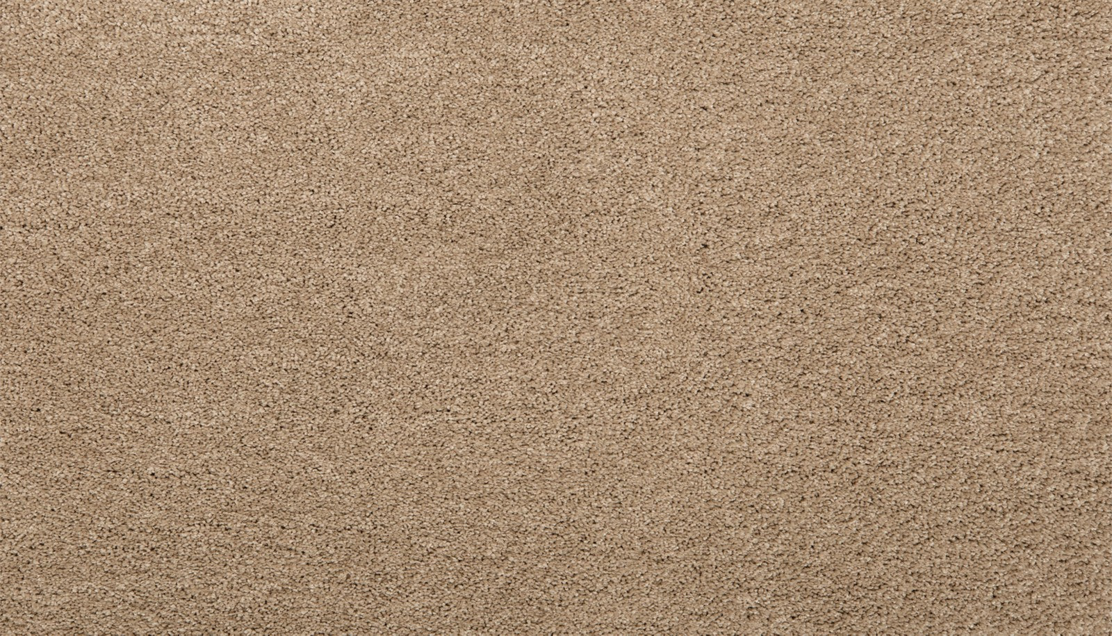 Mohawk Pleasant Touch in November Foliage, Carpet product detail