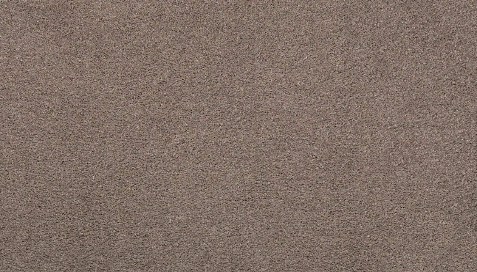 Mohawk Pleasant Touch in Gondola, Carpet product detail