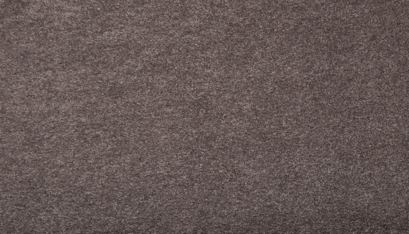 Mohawk Pleasant Touch in Steeplechase, Carpet product detail