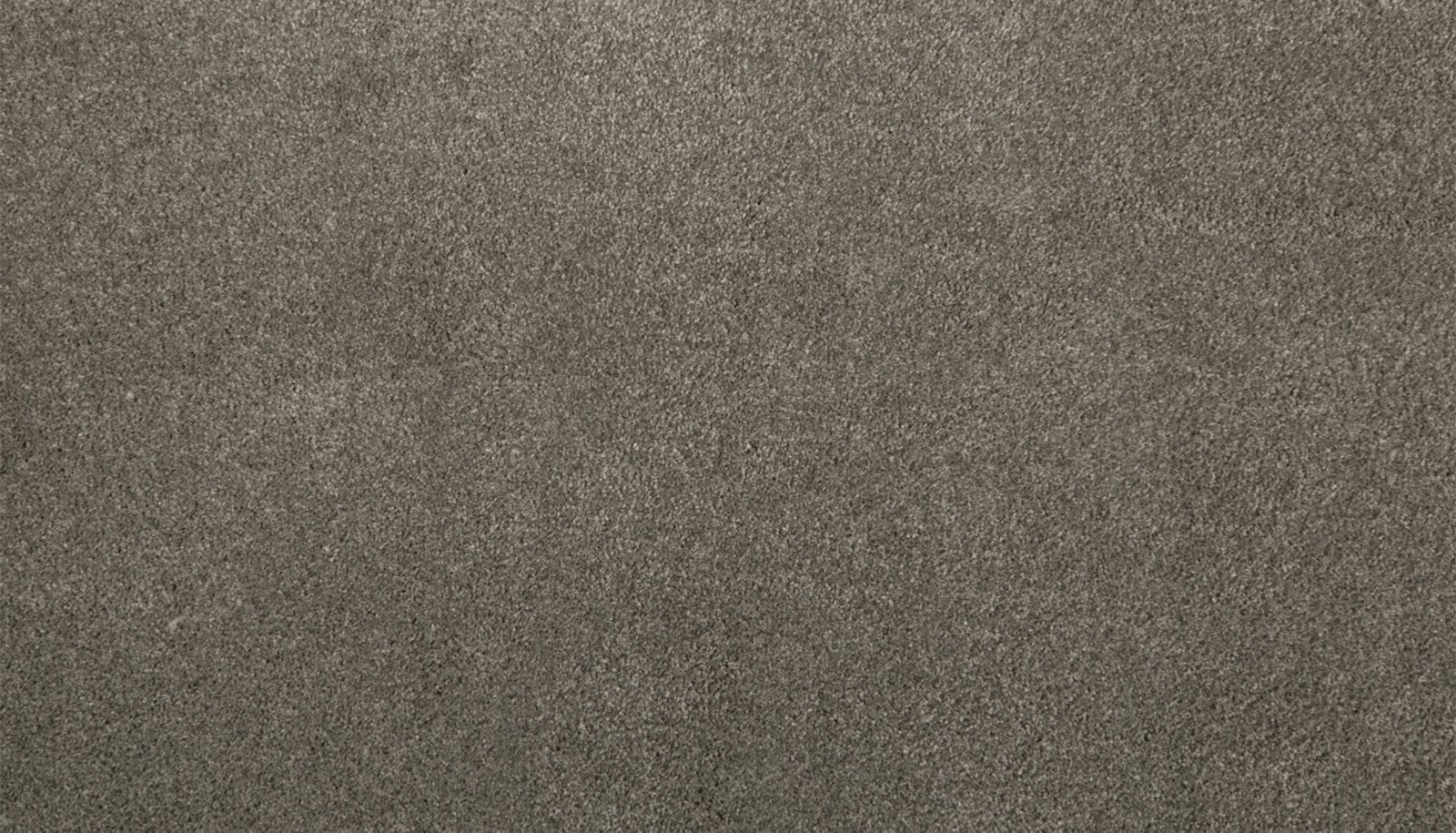 Mohawk Pleasant Touch in Legendary, Carpet product detail