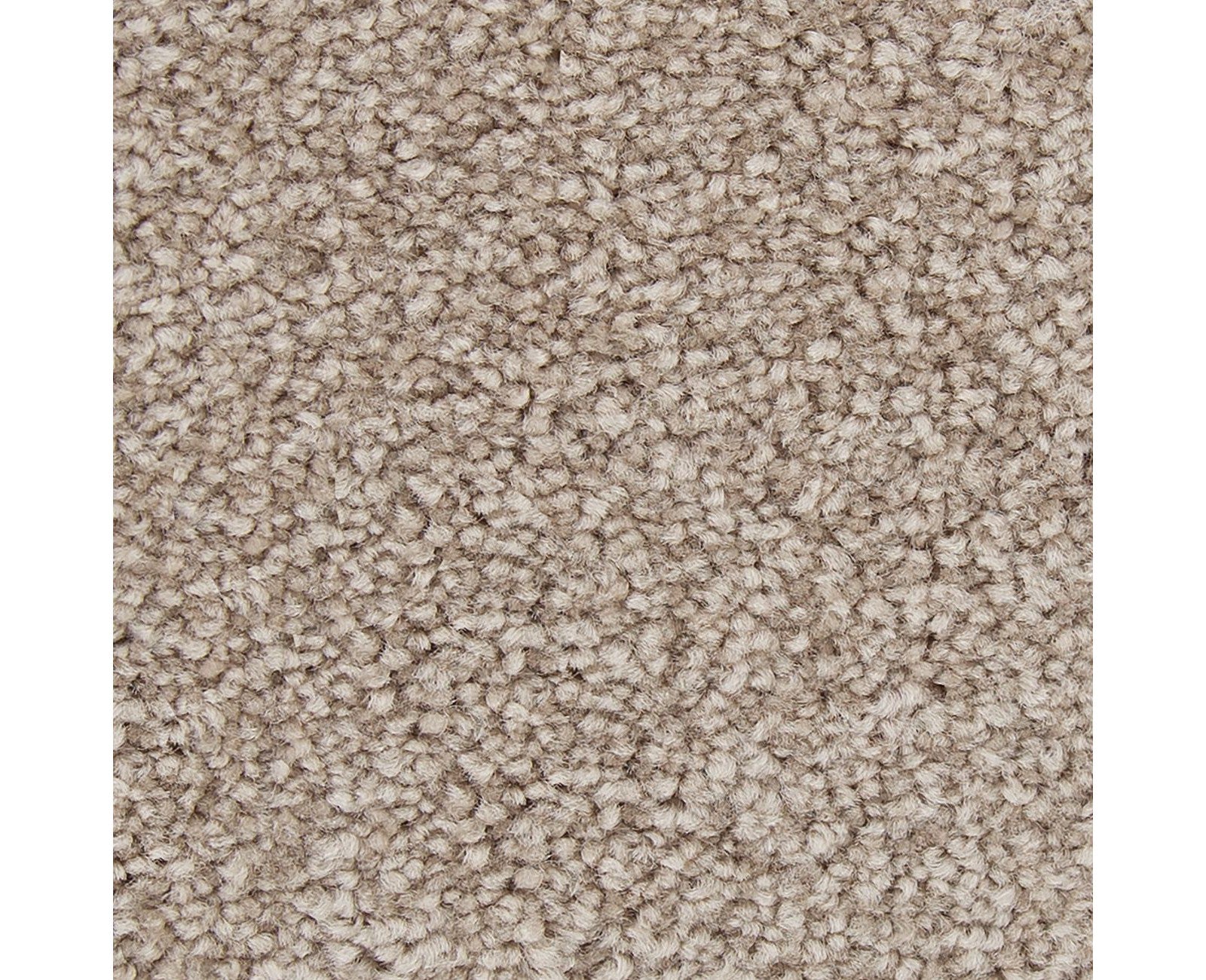 Mohawk Exceptional Choice in Mushroom Cap, Carpet product detail