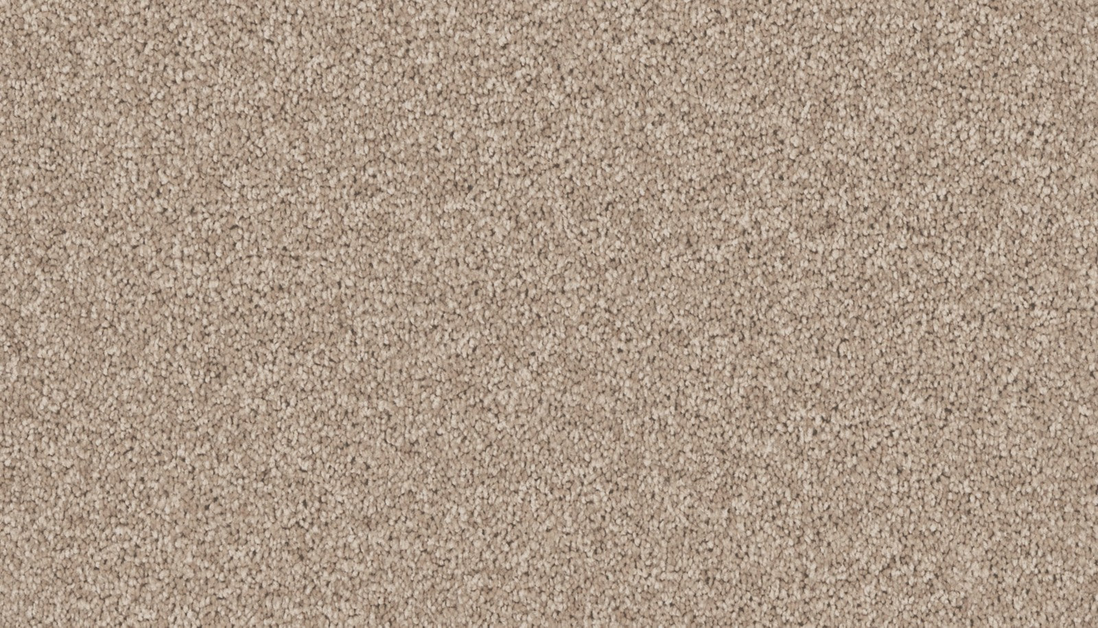 Mohawk Exceptional Choice in Montego, Carpet product detail