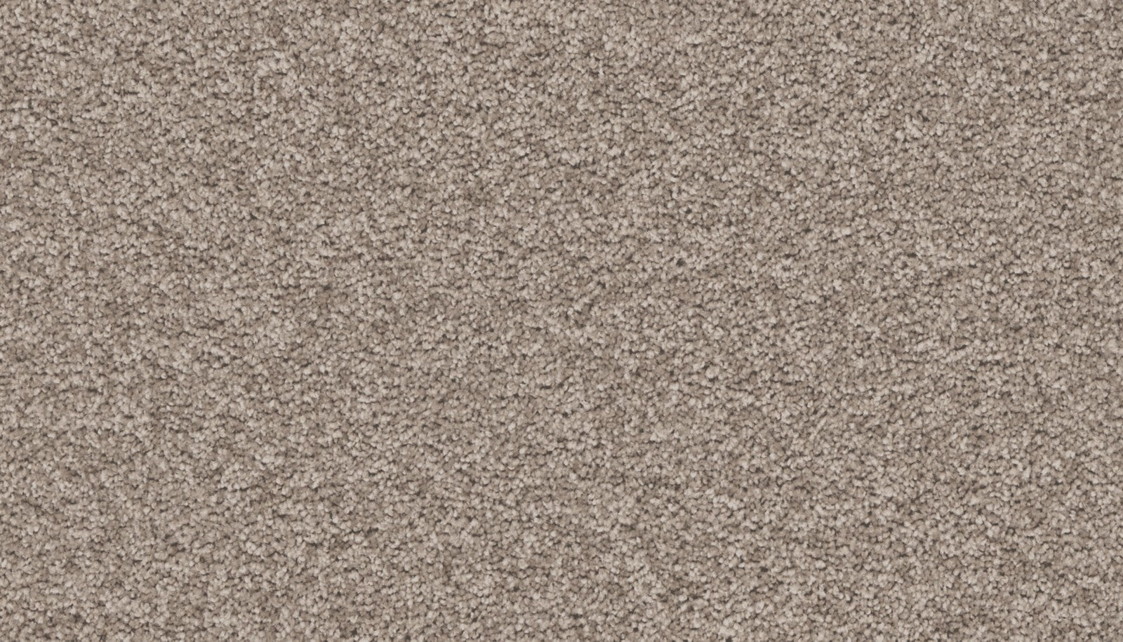 Mohawk Exceptional Choice in Hearthstone, Carpet product detail