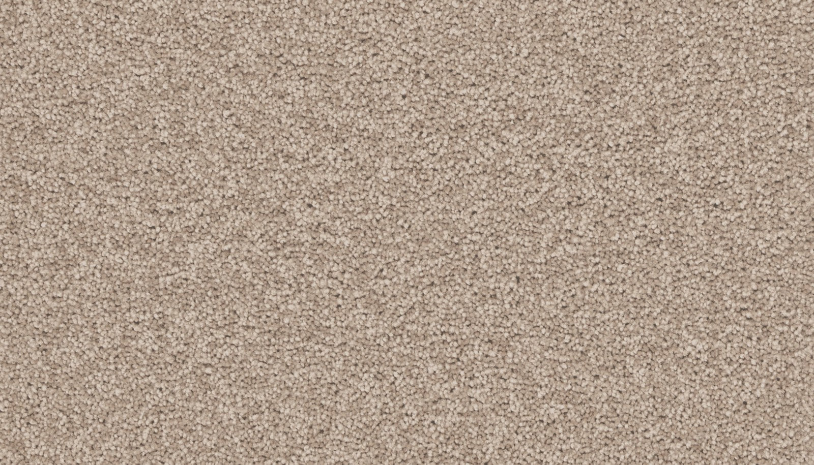 Mohawk Exceptional Choice in Melody, Carpet product detail