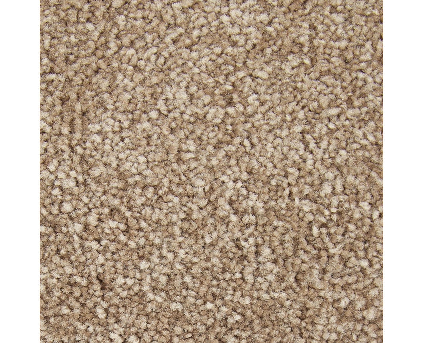 Mohawk Exceptional Choice in Nouveau, Carpet product detail