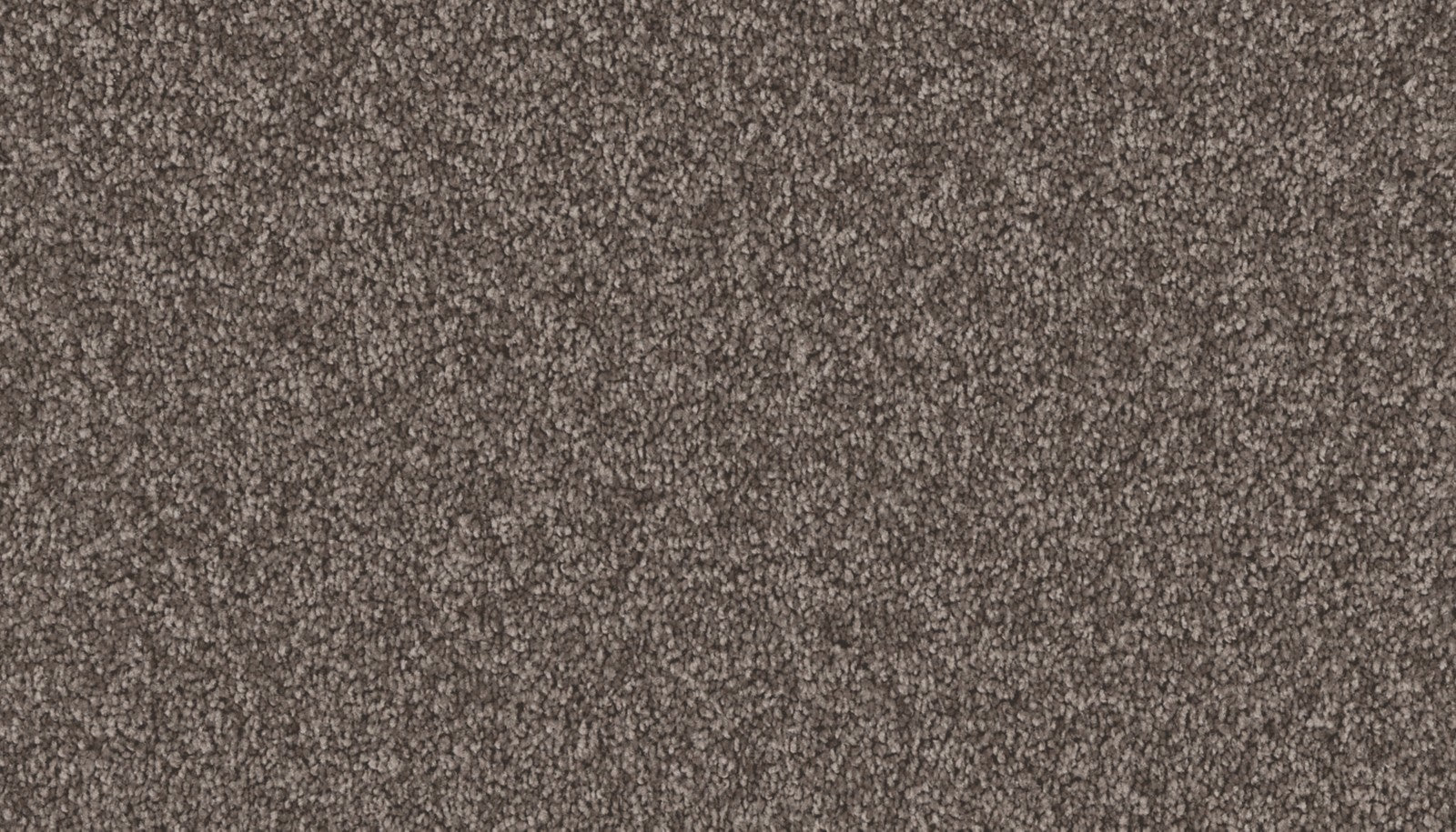 Mohawk Exceptional Choice in Weathered Plank, Carpet product detail