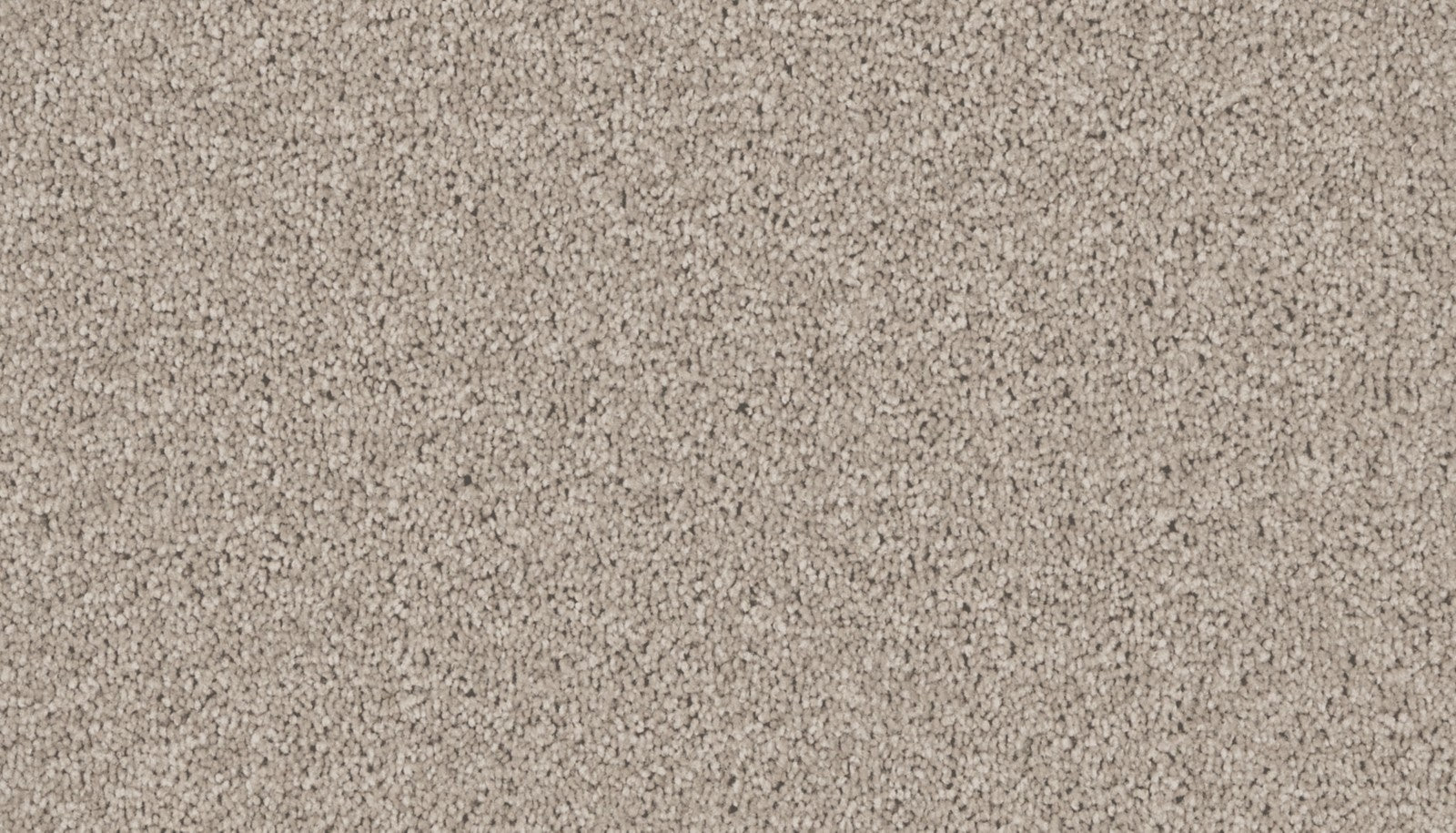 Mohawk Exceptional Choice in Graphite, Carpet product detail