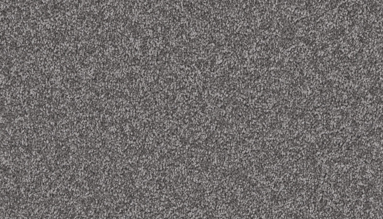 Mohawk Exceptional Choice in Alden Charcoal, Carpet product detail