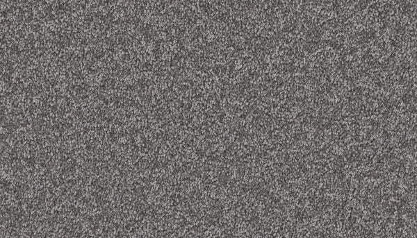 Mohawk Exceptional Choice Carpet
