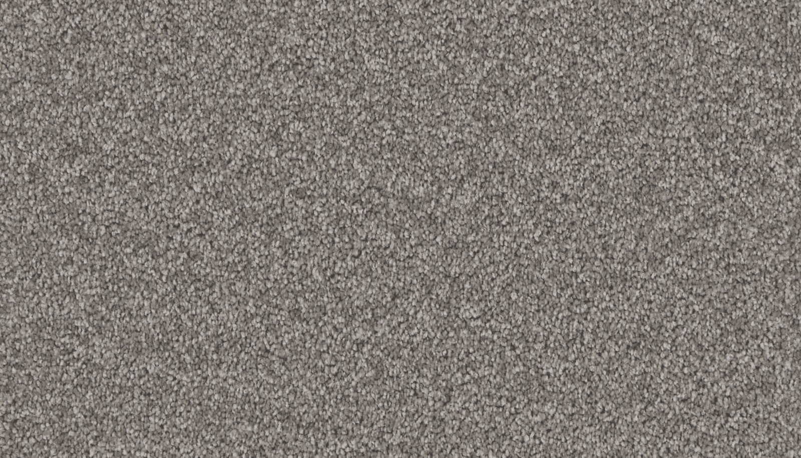 Mohawk Exceptional Choice in Grandeur, Carpet product detail