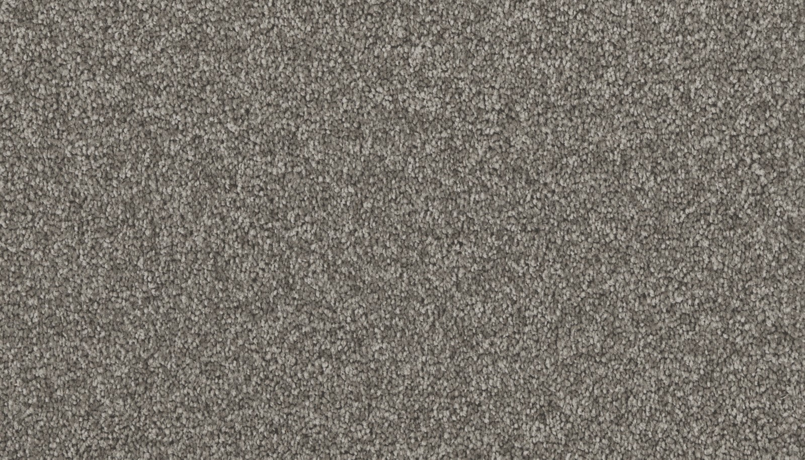 Mohawk Exceptional Choice in Manor House, Carpet product detail