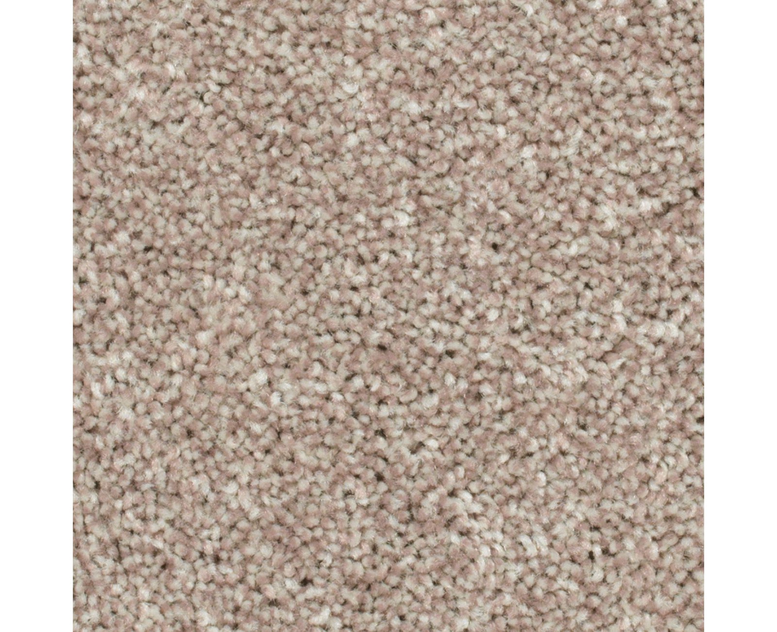 Mohawk Crestview in Woodland, Carpet product detail