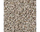 Mohawk Color Fusion I Carpet
