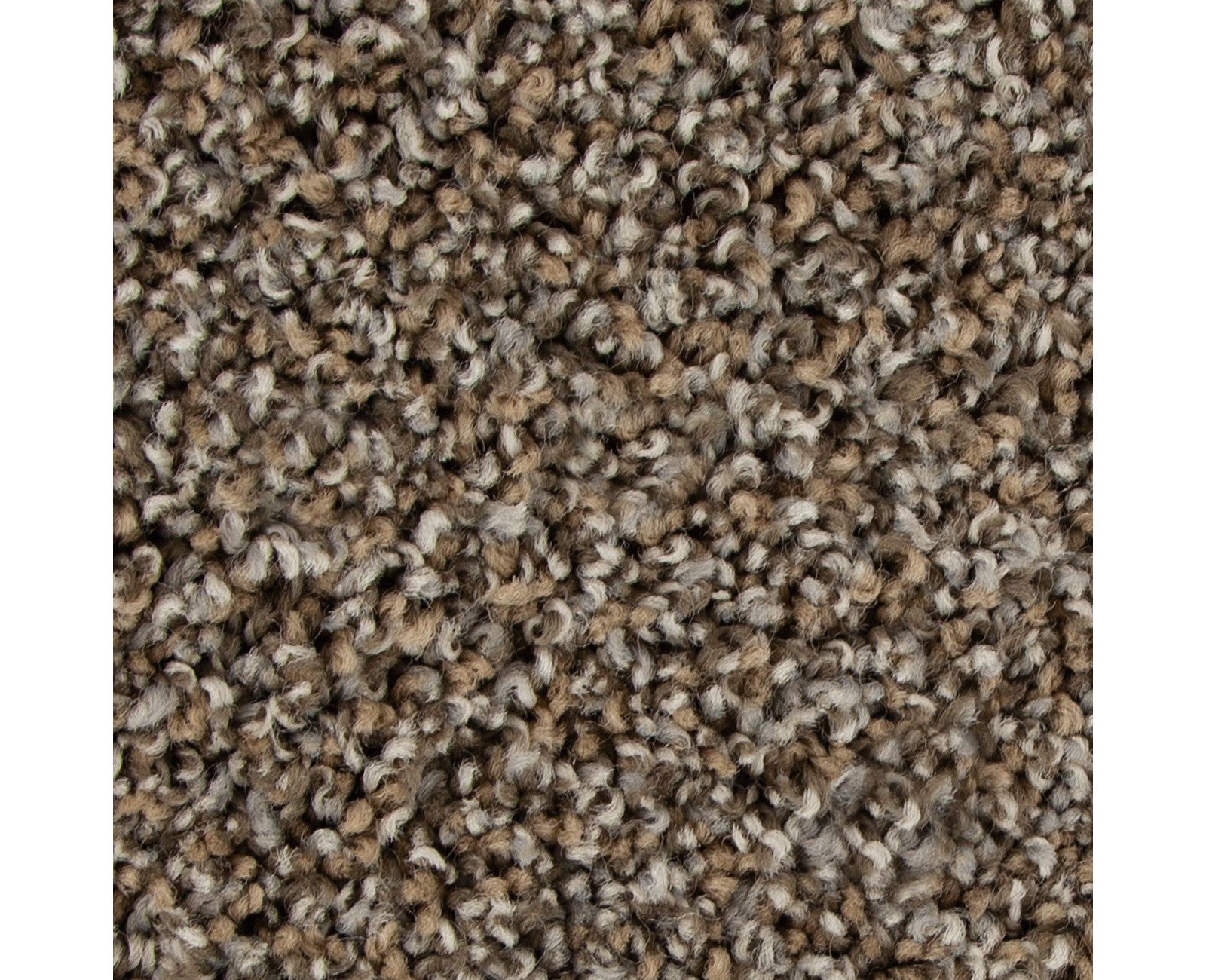 Mohawk Color Fusion I in Driftwood, Carpet product detail