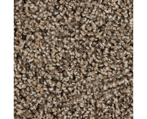 Mohawk Color Fusion II Carpet