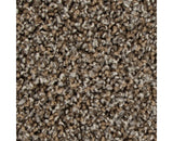 Mohawk Color Fusion II Carpet