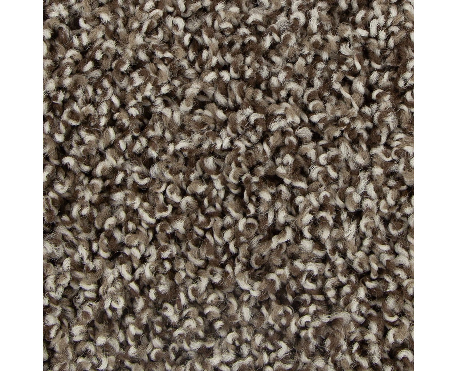 Mohawk Color Fusion II in Highlander, Carpet product detail