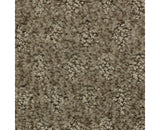 Mohawk Stylish Effect Carpet