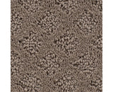 Mohawk Classic Style Carpet