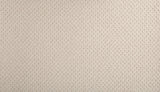 Mohawk Casual Elegance Carpet
