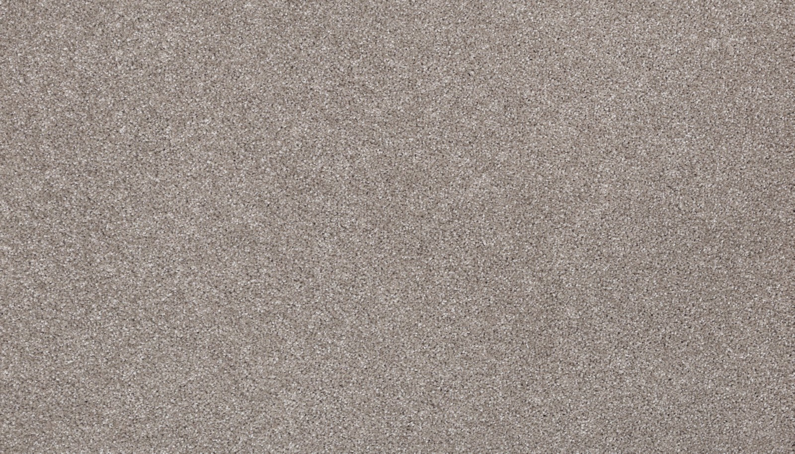 Mohawk Delicate Tones II in Ancestral, Carpet product detail