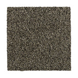Mohawk Natural Opulence I Carpet