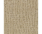Mohawk Stylish Trend Carpet
