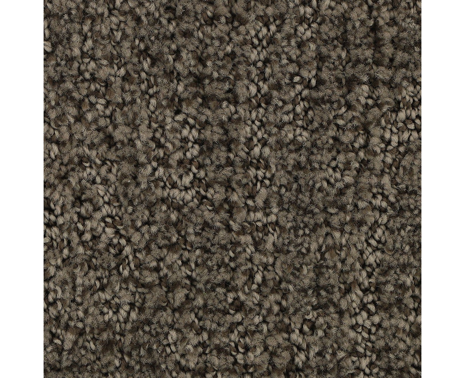 Mohawk Stylish Trend in Rock Garden, Carpet product detail