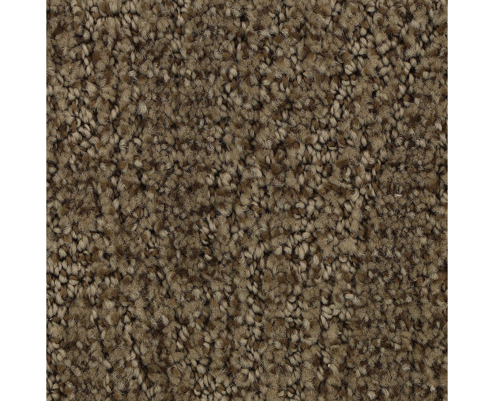 Mohawk Stylish Trend in Tightrope, Carpet product detail