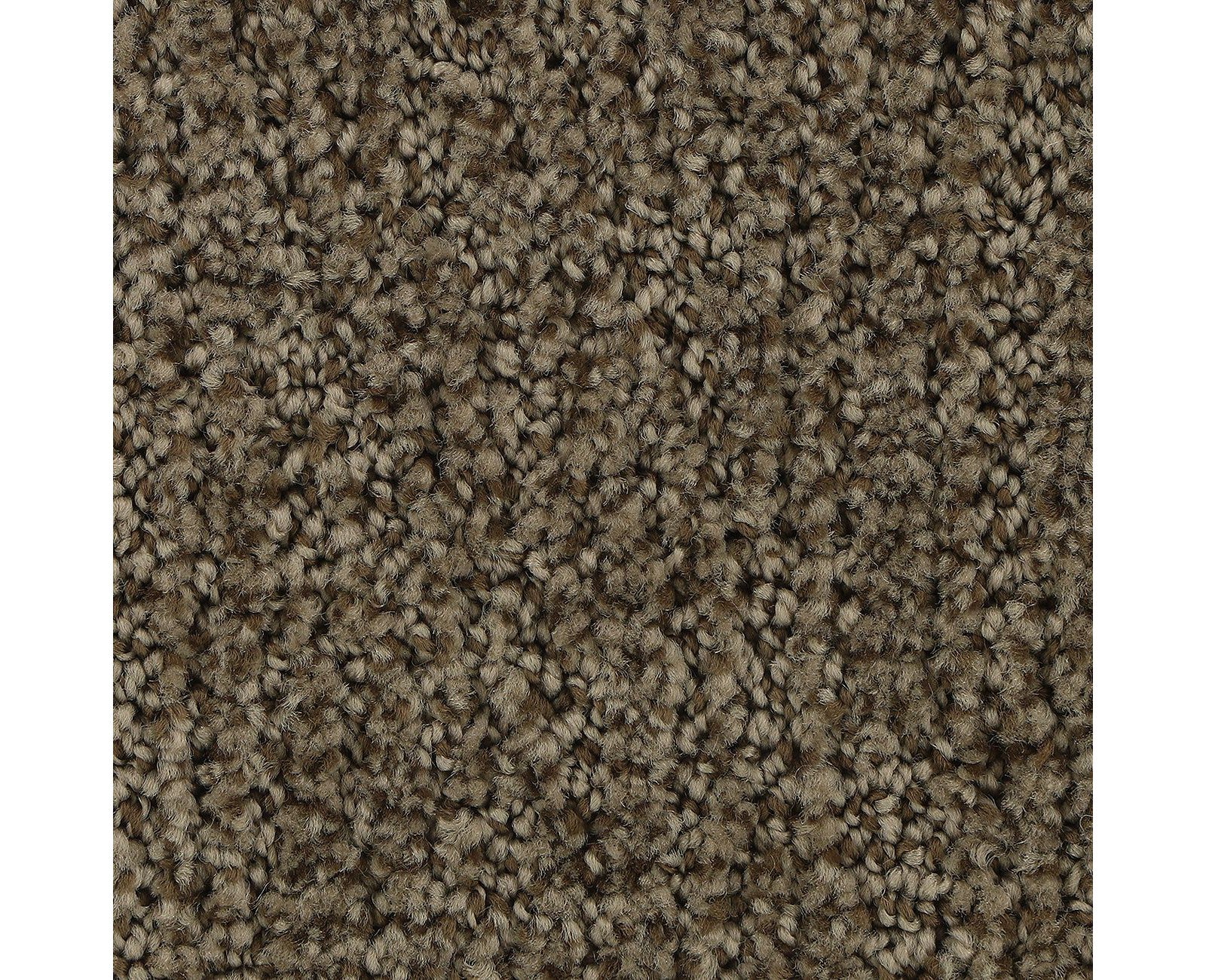 Mohawk Stylish Trend in Malted, Carpet product detail