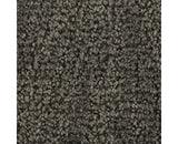 Mohawk Stylish Trend Carpet