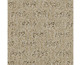Mohawk Stylish Tones Carpet