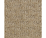 Mohawk Stylish Tones Carpet