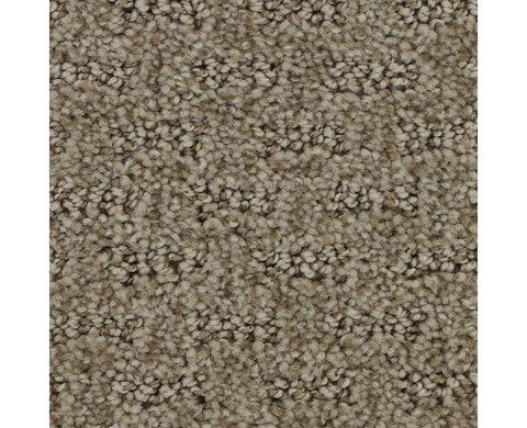 Mohawk Stylish Tones Carpet