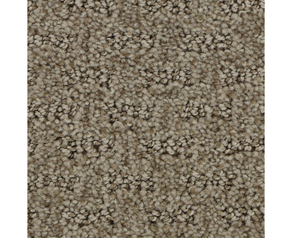 Mohawk Stylish Tones Carpet