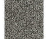 Mohawk Stylish Tones Carpet