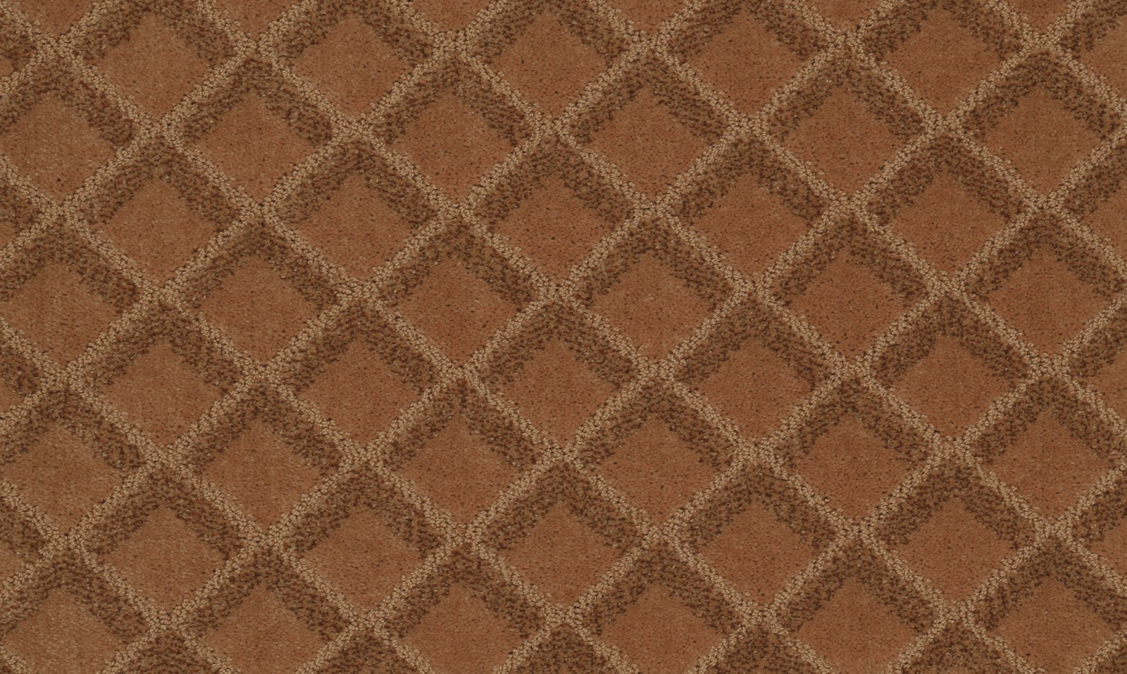 Mohawk Graceful Appeal in Renew, Carpet product detail