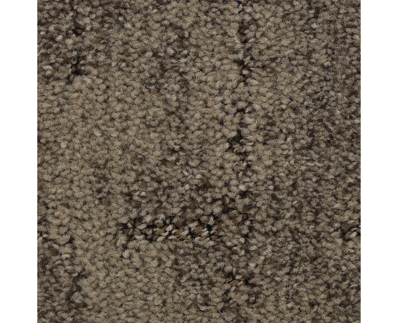 Mohawk Elaborate Appeal in Woodland, Carpet product detail