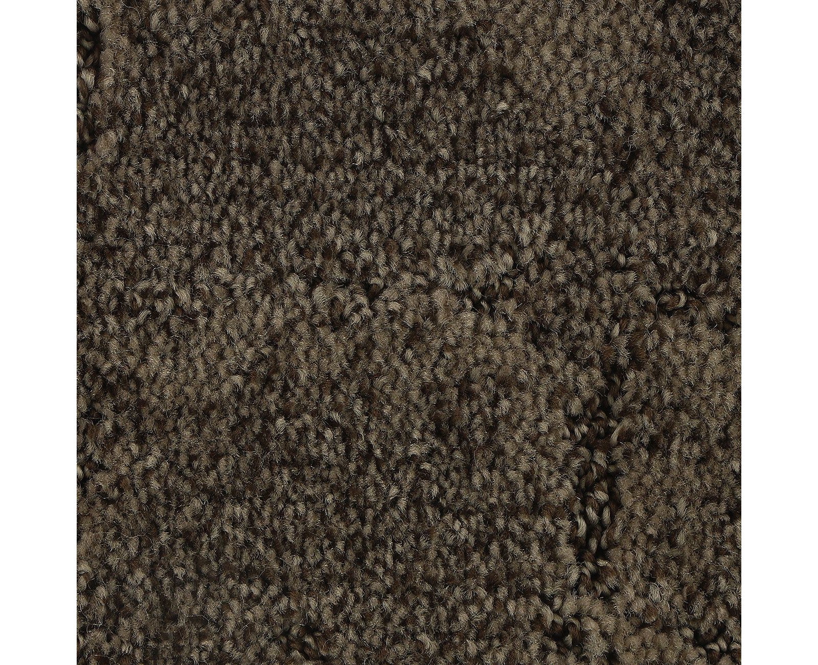 Mohawk Elaborate Appeal in Sequoia, Carpet product detail