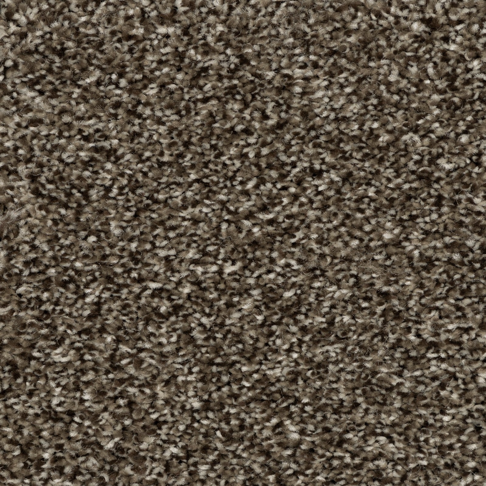Mohawk Refreshing Shades in Powerful, Carpet product detail