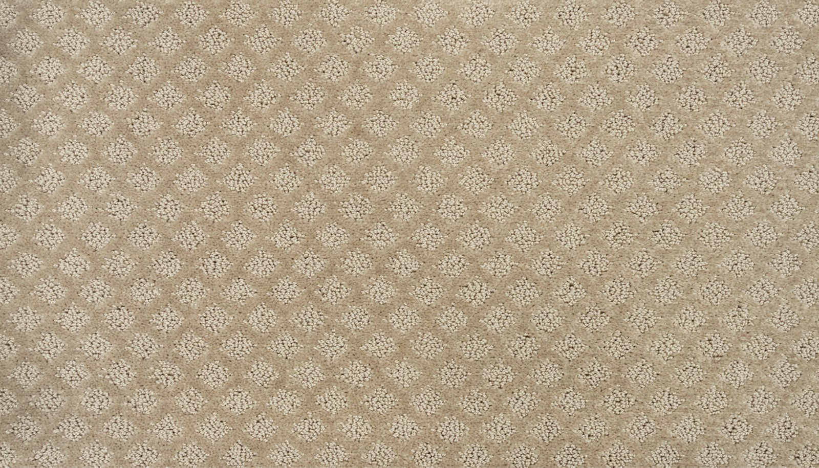 Mohawk Champion II in Hourglass, Carpet product detail