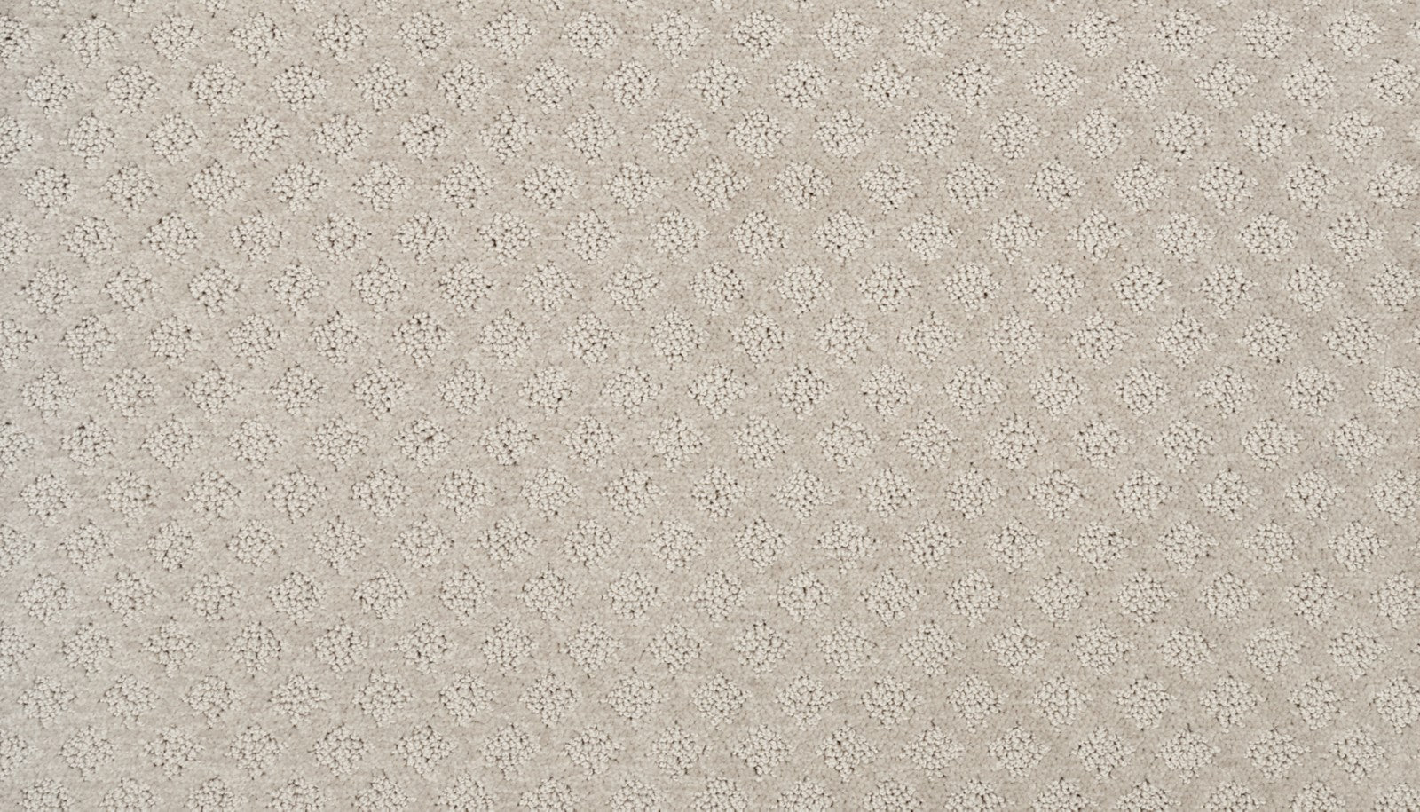 Mohawk Champion II in Cozy Corner, Carpet product detail