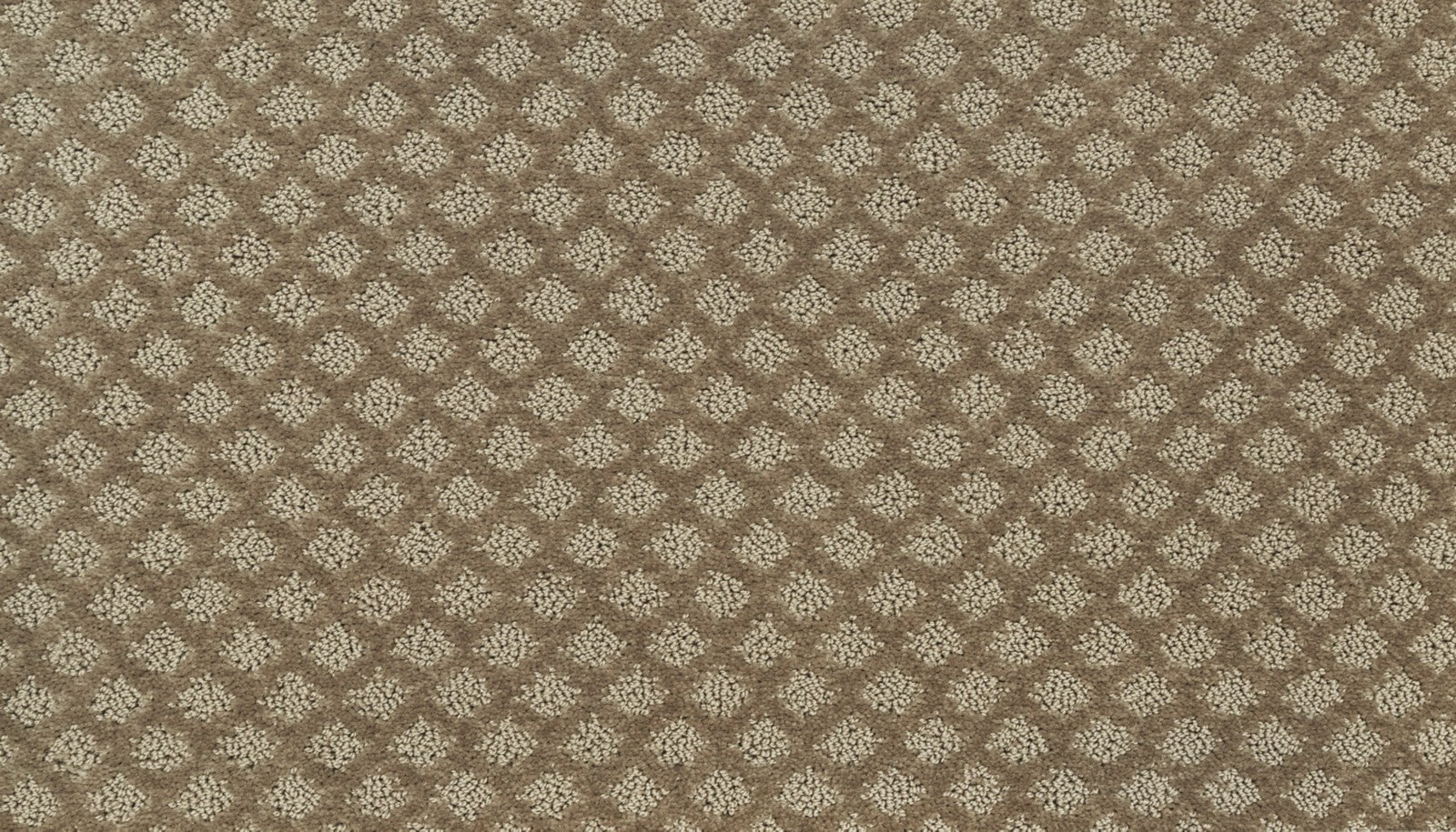 Mohawk Champion II in Fall Fields, Carpet product detail