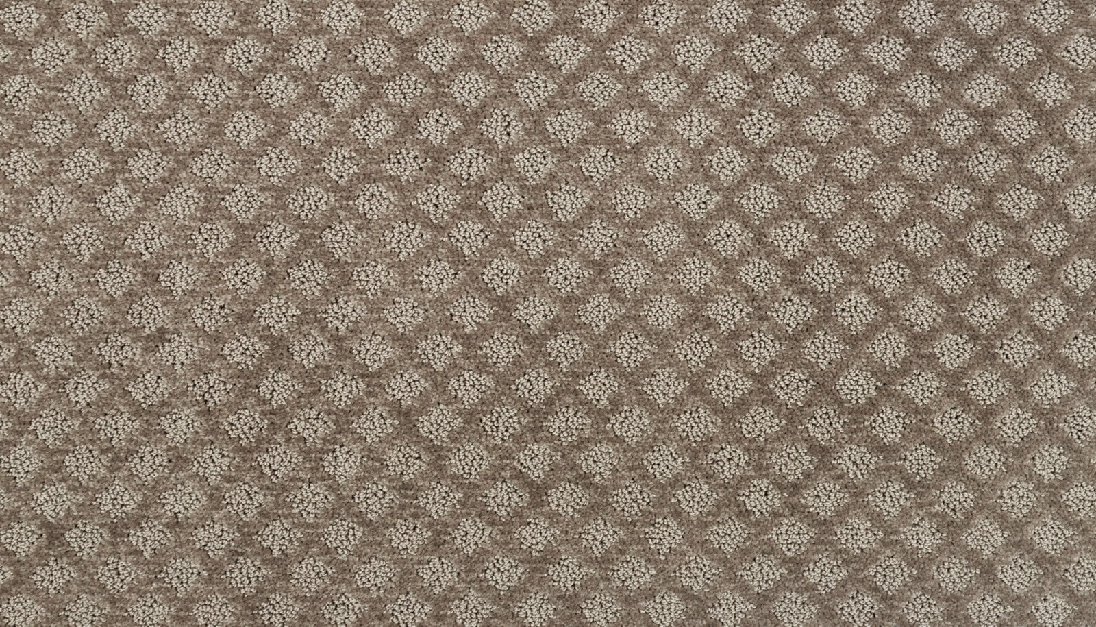 Mohawk Champion II in Ancient Scroll, Carpet product detail
