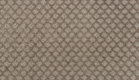Mohawk Champion II Carpet