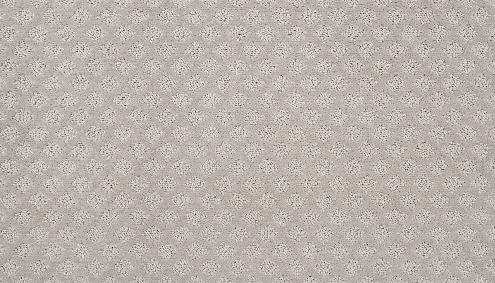 Mohawk Champion II in Stardust, Carpet product detail