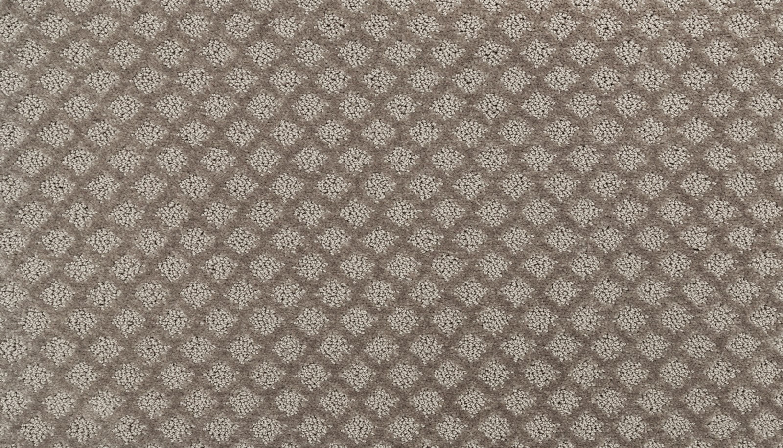Mohawk Champion II in Oyster, Carpet product detail