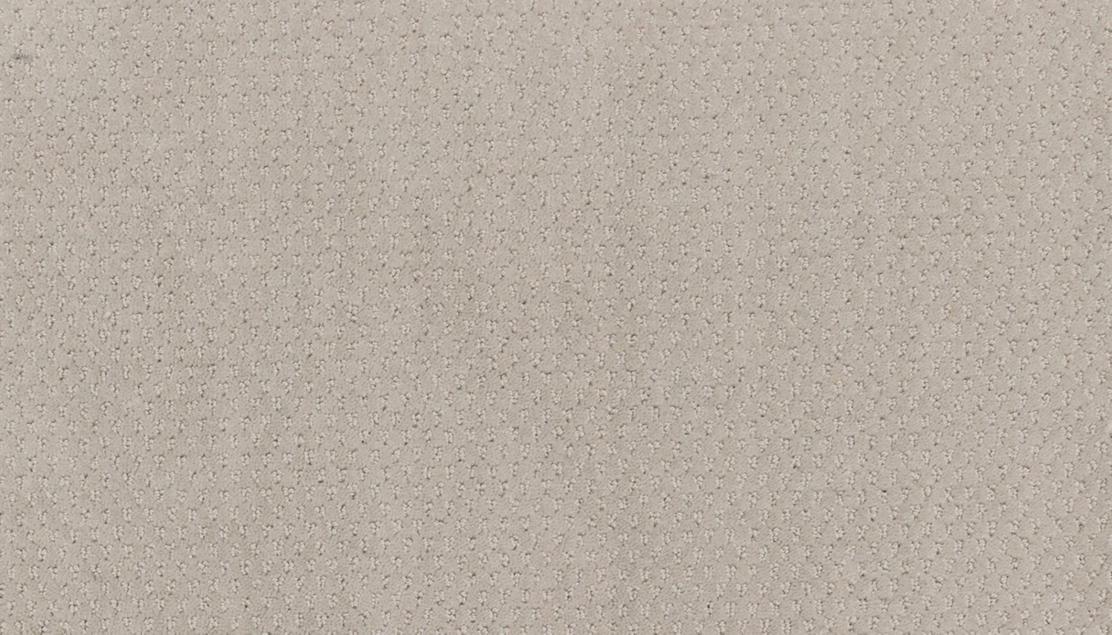 Mohawk Dynamic Momentum in Electric, Carpet product detail
