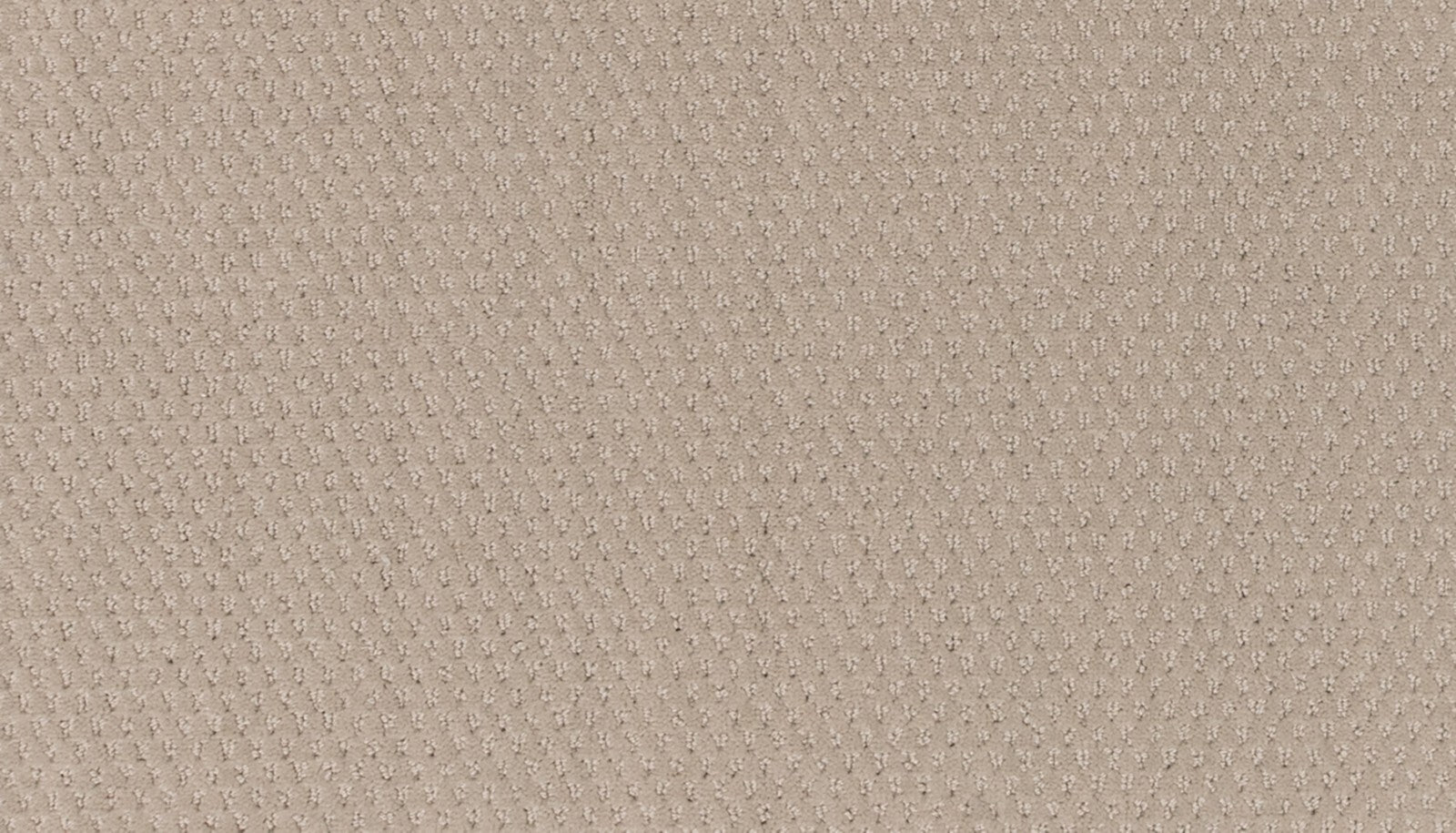 Mohawk Dynamic Momentum in Rapid, Carpet product detail